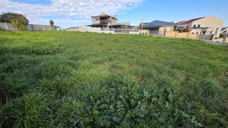 0 Bedroom Property for Sale in Reebok Western Cape